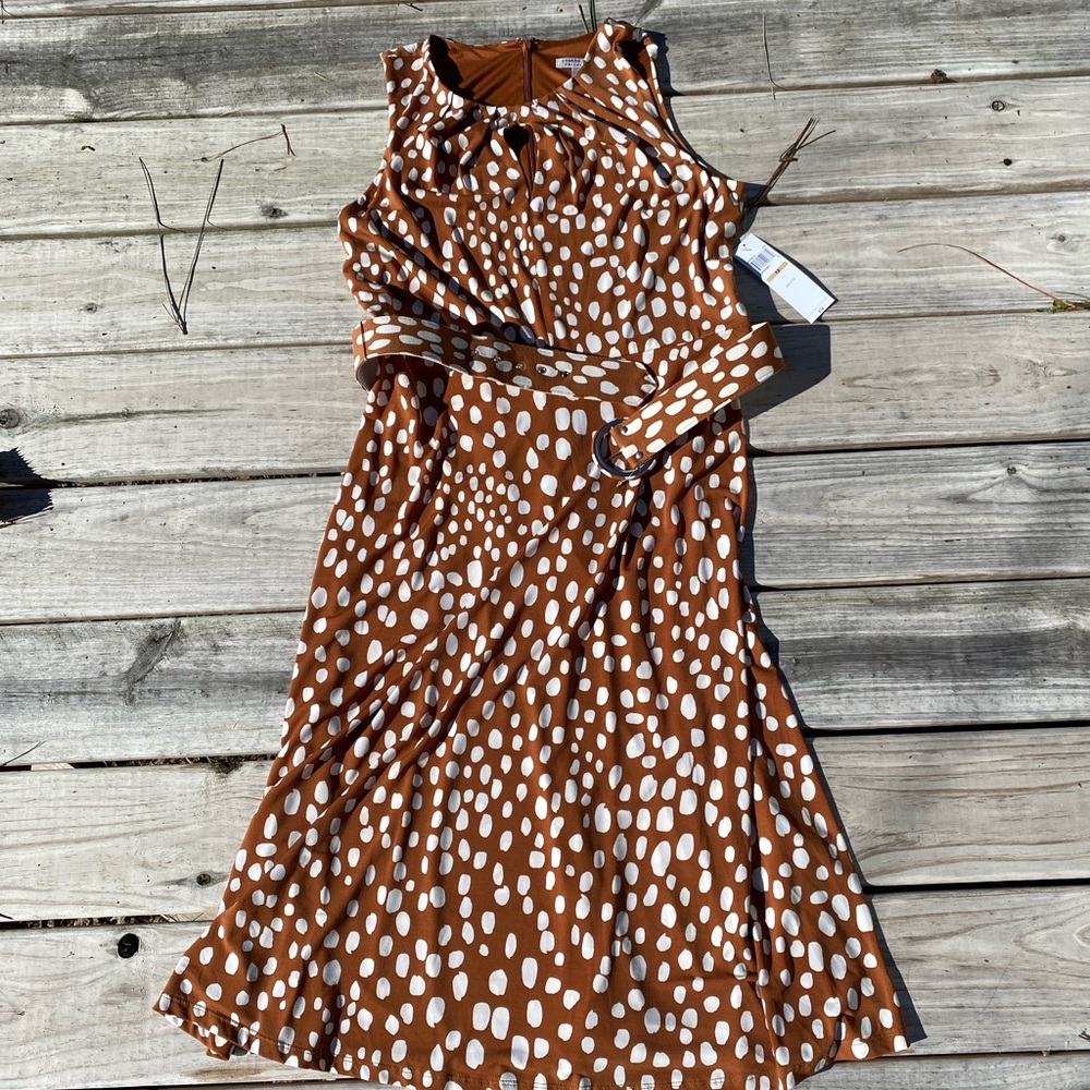 NWT dress